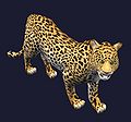 Пятнистый леопард.jpg